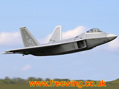 Freewing F-22 Raptor 80mm EDF PNP Jet