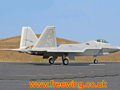 Freewing F-22 Raptor 80mm ARF Plus Jet