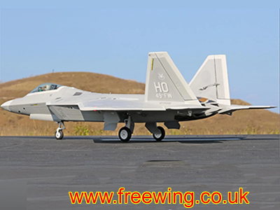 Freewing F-22 Raptor 80mm EDF PNP Jet