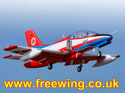 Freewing F-22 V2 90mm ARF Plus EDF Jet